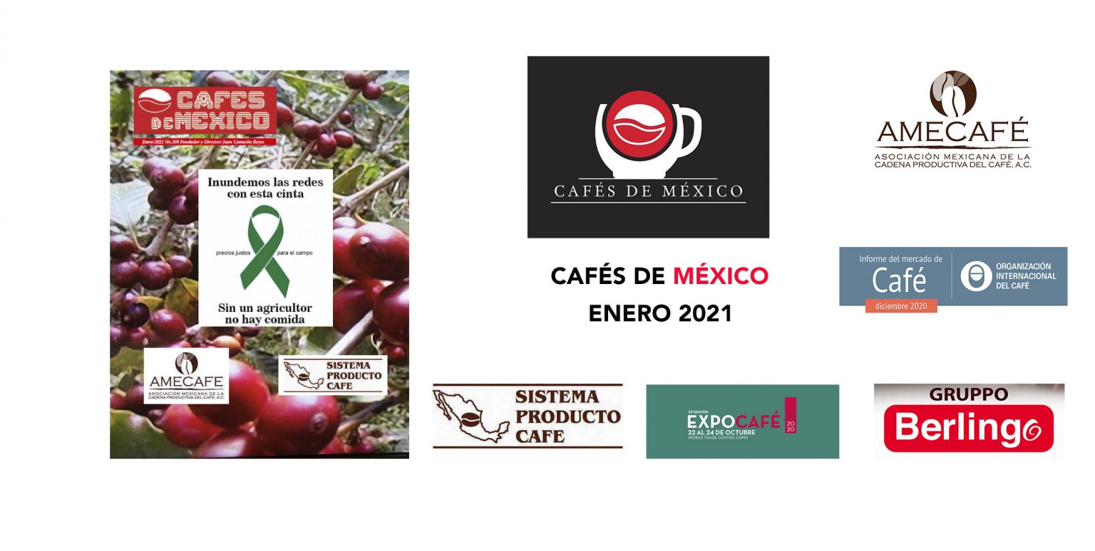 CAFÉS DE MÉXICO ENERO 2021