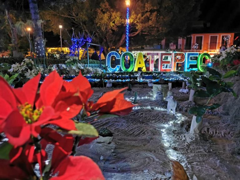 La Ruta Cafetalera: Coatepec, Veracruz