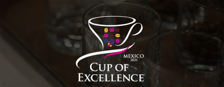 Preselección Taza de Excelencia México 2021