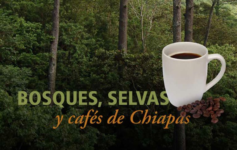 Bosques, Selvas y Cafés de Chiapas