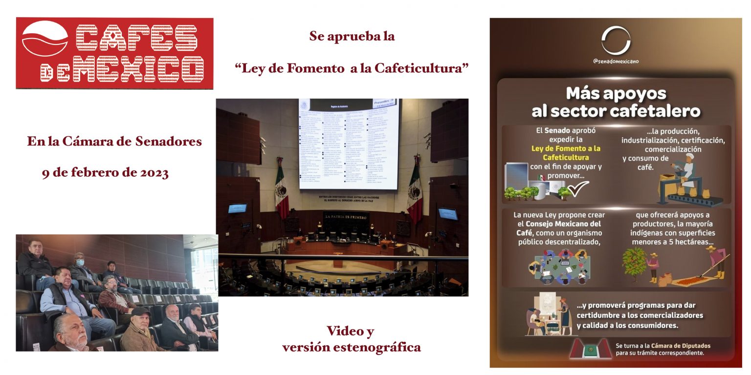 SESIÓN EN EL SENADO PARA LA VOTACIÓN DE LA «LEY DE FOMENTO A LA CAFETICULTURA»