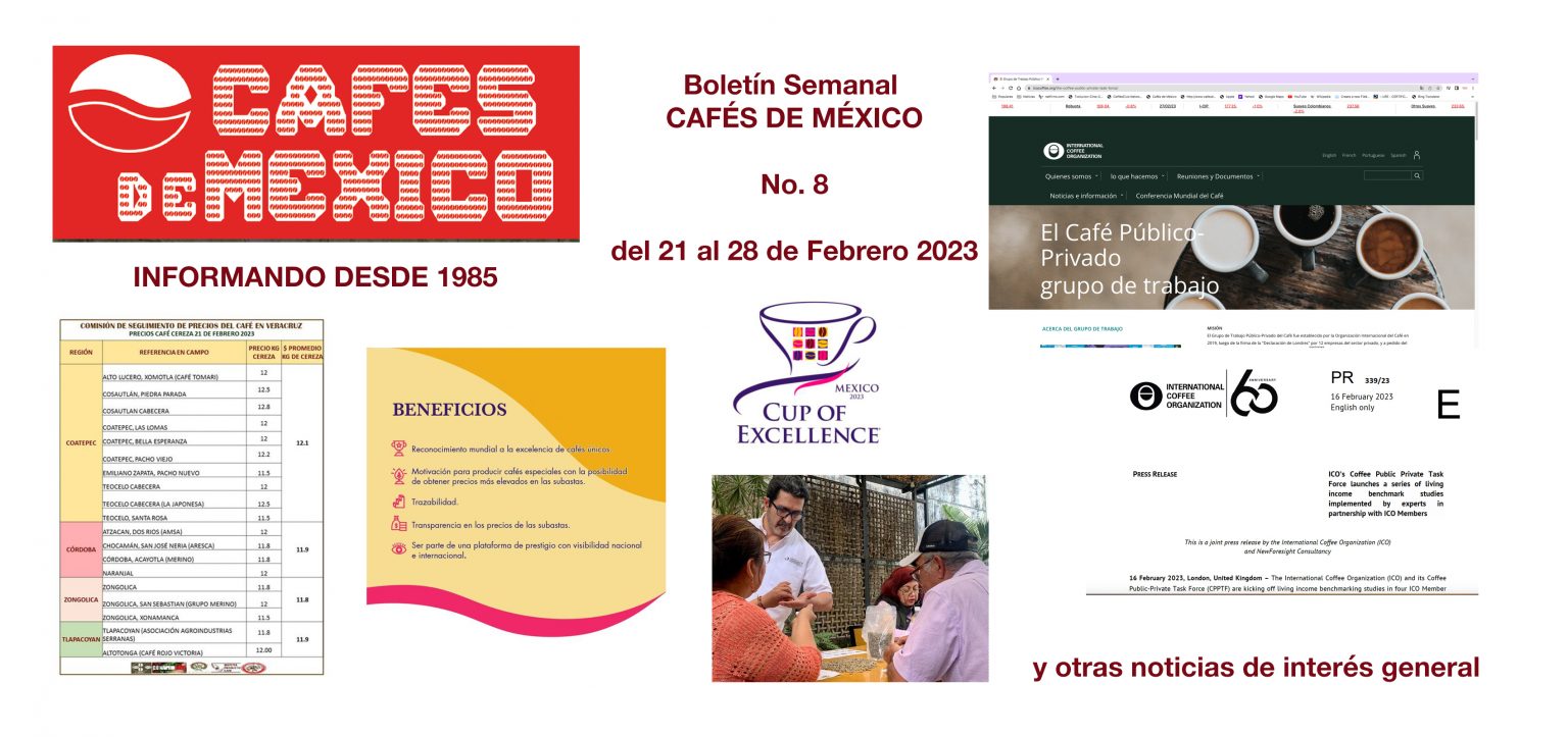 Boletín Semanal CAFÉS DE MÉXICO No. 8 del 21 al 28 de febrero 2023