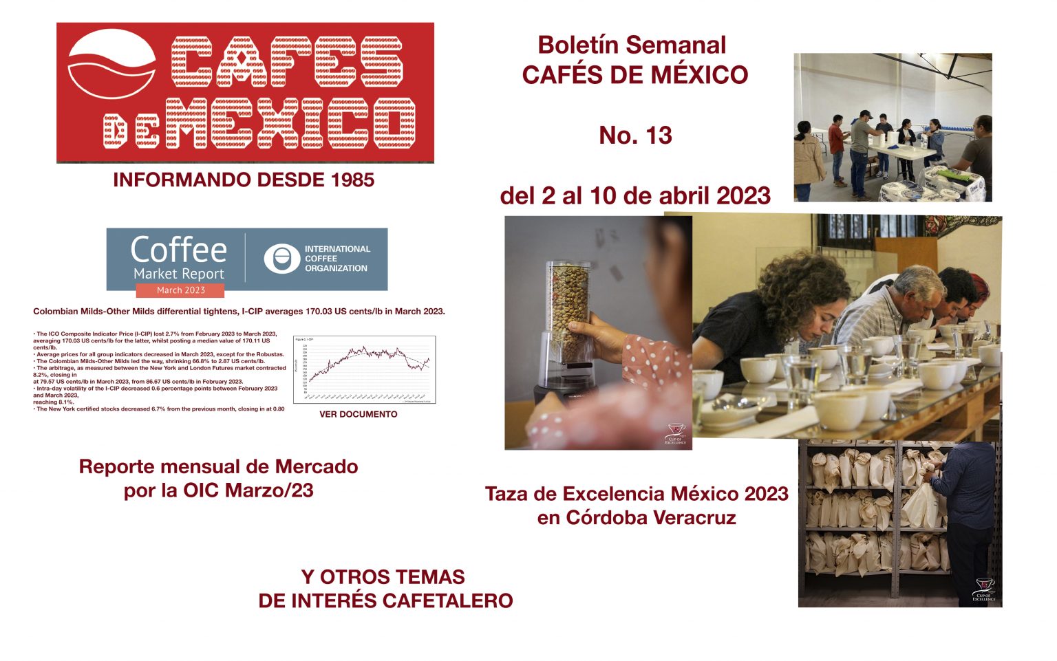 Boletín Semanal CAFÉS DE MÉXICO No. 13 del 2 al 10 de abril del 2023