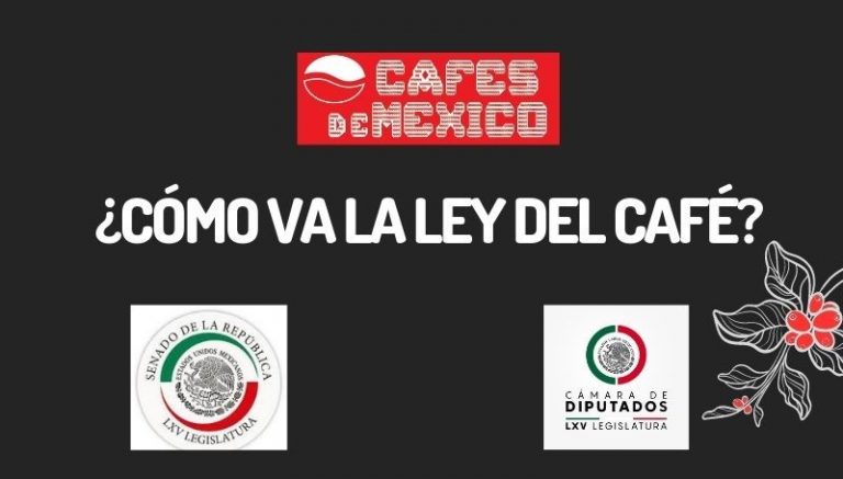 ¿Cómo va la Ley del Café?