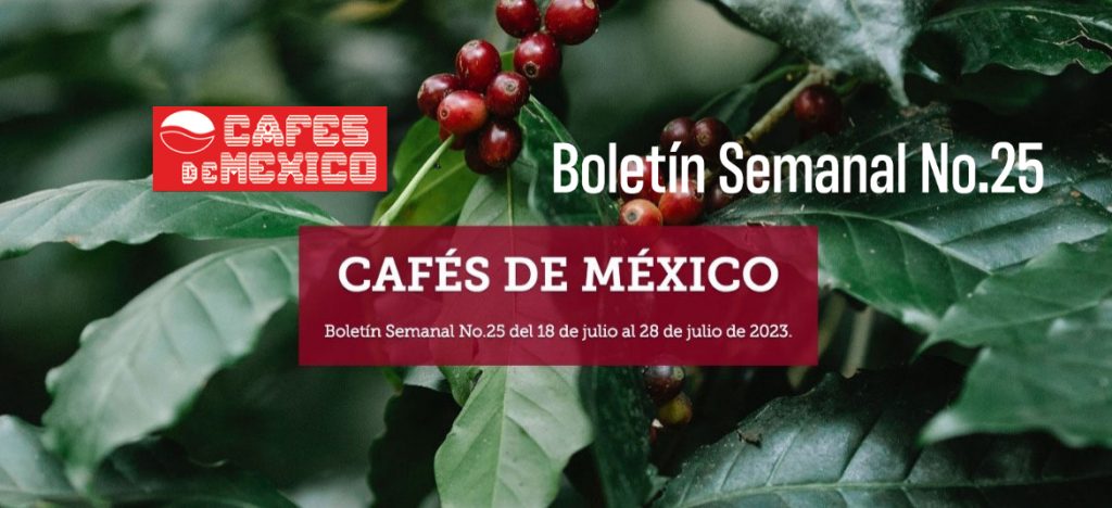 Boletín Semanal No.25 del 18 al 28 de julio de 2023.