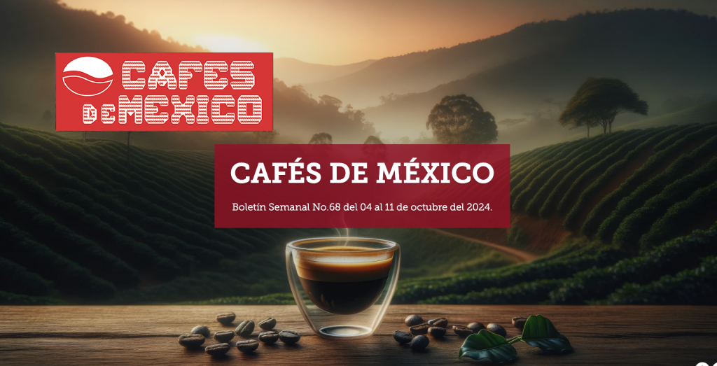 Boletín Semanal CAFÉS DE MÉXICO No. 68 del 4 al 11 de octubre 2024