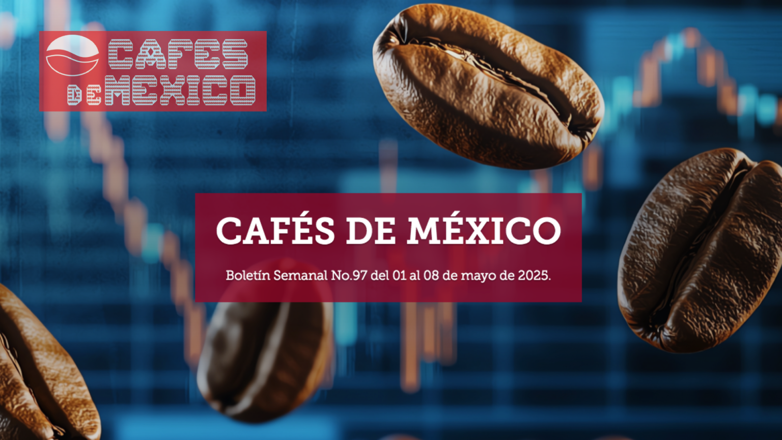 Boletín Semanal No.97 del 01 al 08 de mayo de 2025.