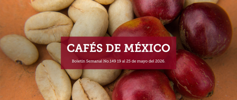 Boletín Semanal No.149 19 al 25 de mayo del 2026.
