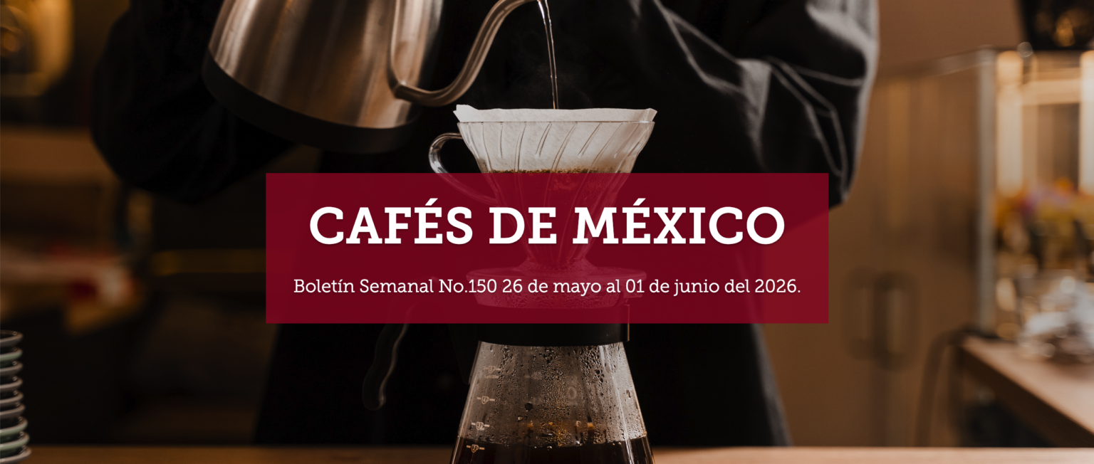 Boletín Semanal No.150 26 de mayo al 01 de junio del 2026.