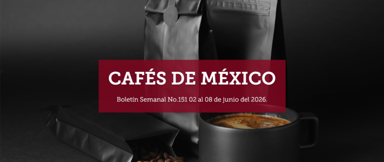Boletín Semanal No.151 02 al 08 de junio del 2026.