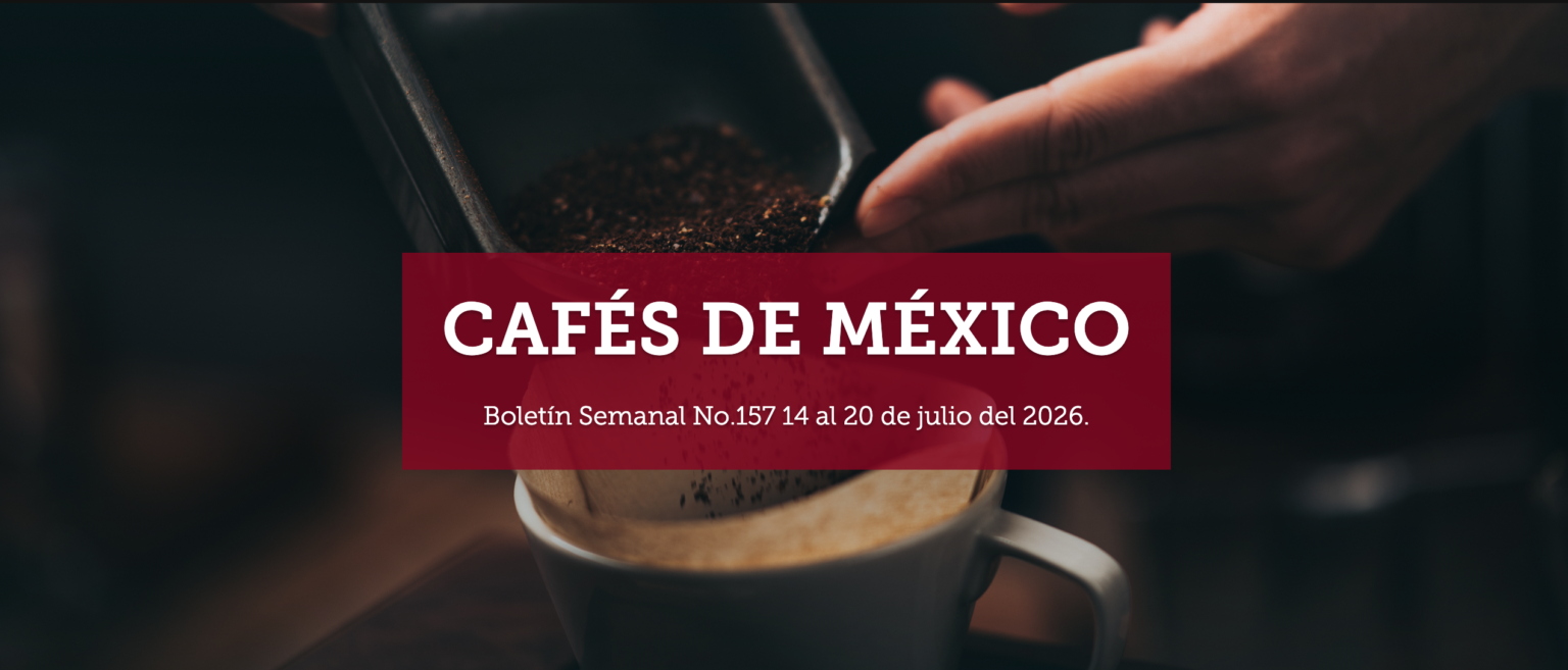 Boletín Semanal No.157 14 al 20 de julio del 2026.