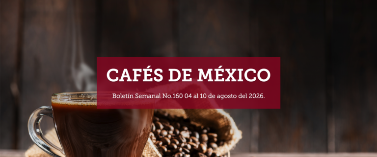 Boletín Semanal No.160 04 al 10 de agosto 2026