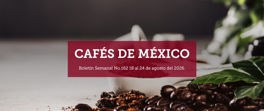 Boletín Semanal No.162 18 al 24 de agosto del 2026.